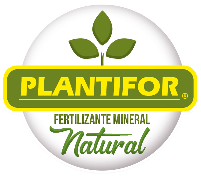 plantifor.com.mx